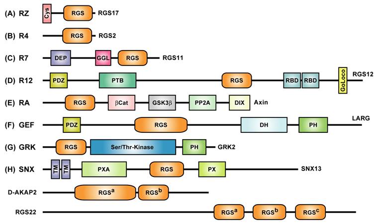 Int J Biol Sci Image