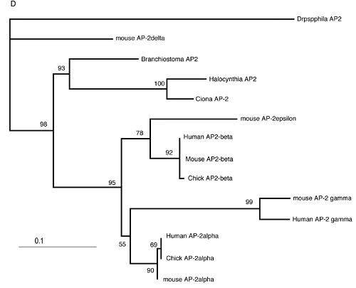 Int J Biol Sci Image