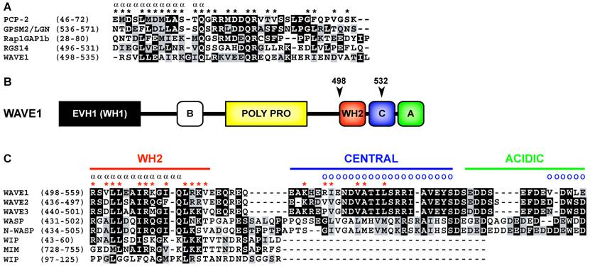 Int J Biol Sci Image
