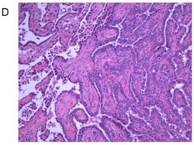 Int J Biol Sci Image