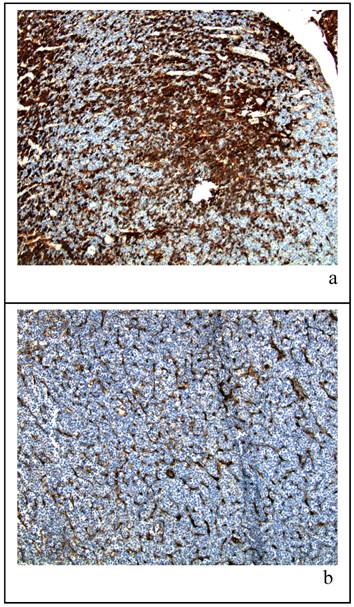 Int J Biol Sci Image