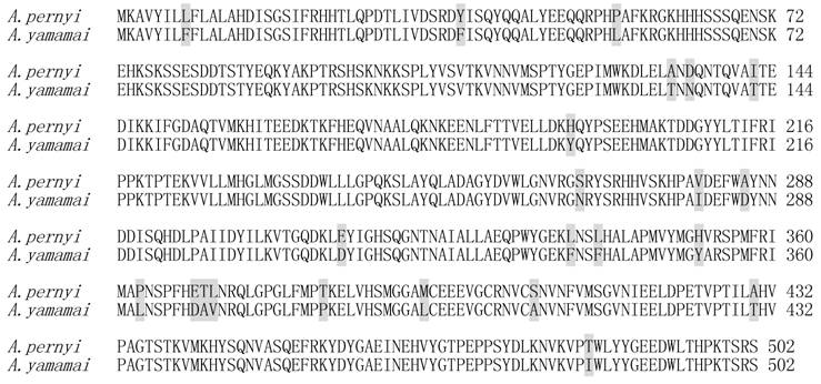 Int J Biol Sci Image