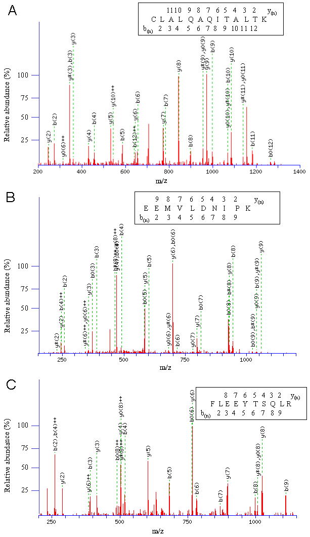 Int J Biol Sci Image