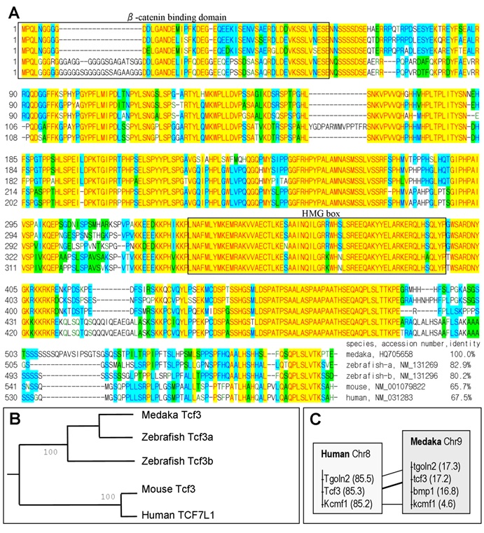 Int J Biol Sci Image