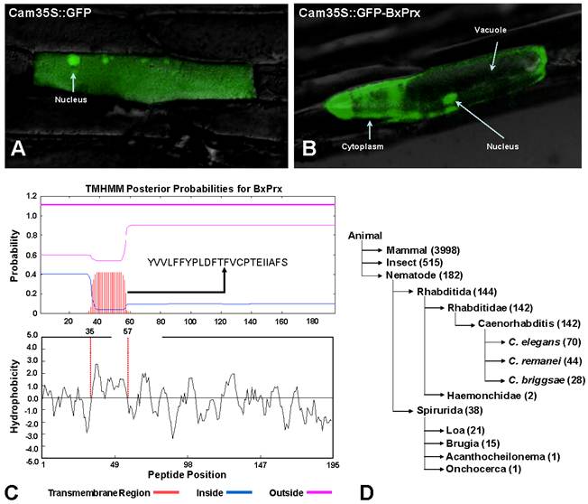 Int J Biol Sci Image