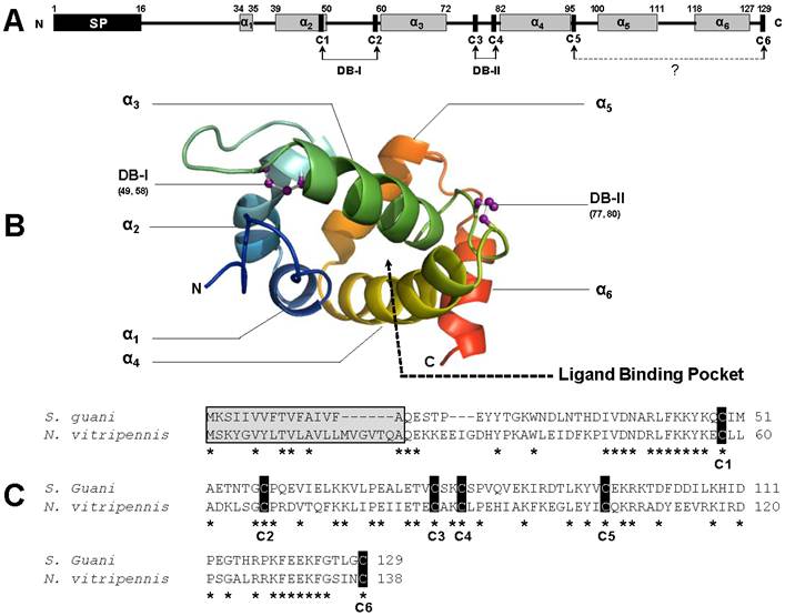 Int J Biol Sci Image