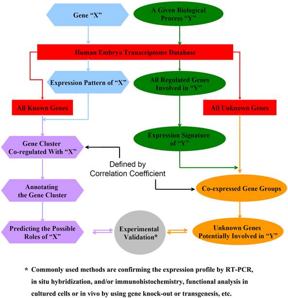 Int J Biol Sci Image