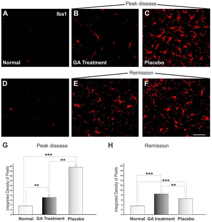 Int J Biol Sci Image