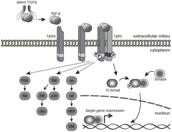 Int J Biol Sci Image