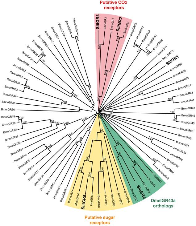 Int J Biol Sci Image