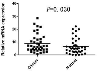 Int J Biol Sci Image