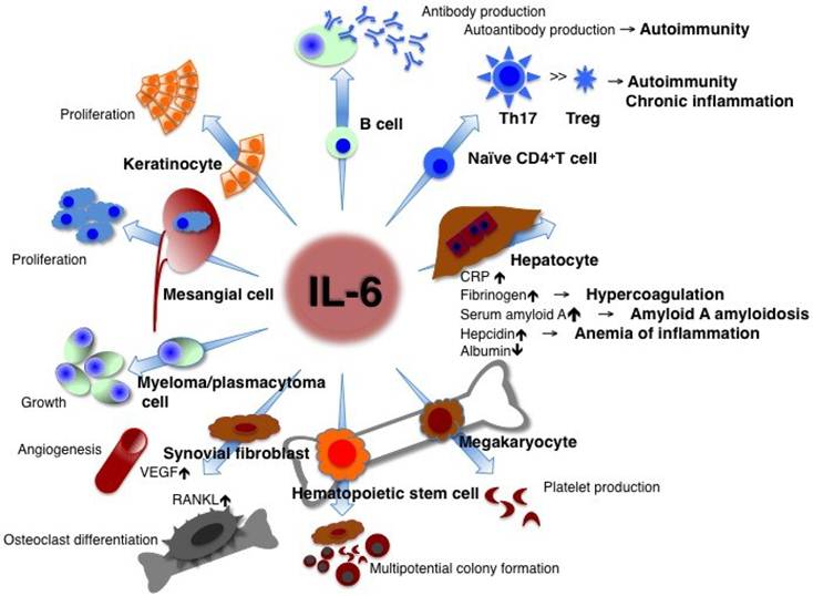 Int J Biol Sci Image