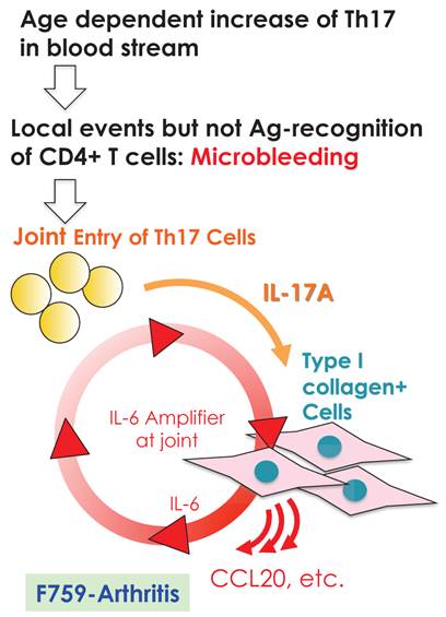 Int J Biol Sci Image