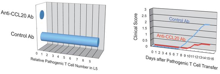 Int J Biol Sci Image