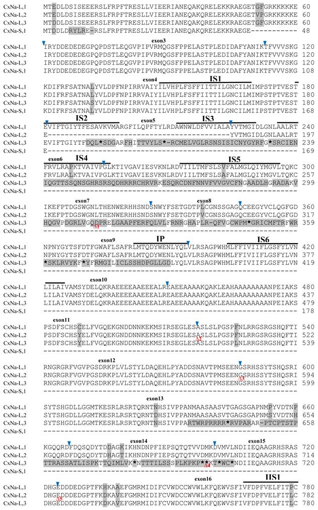 Int J Biol Sci Image