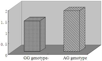 Int J Biol Sci Image