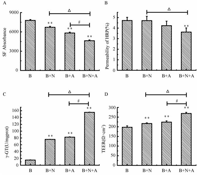 Int J Biol Sci Image