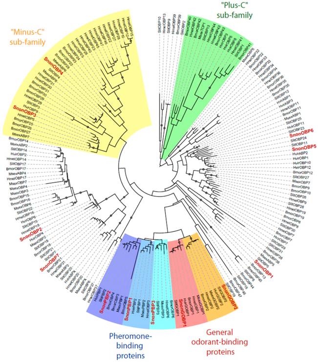 Int J Biol Sci Image