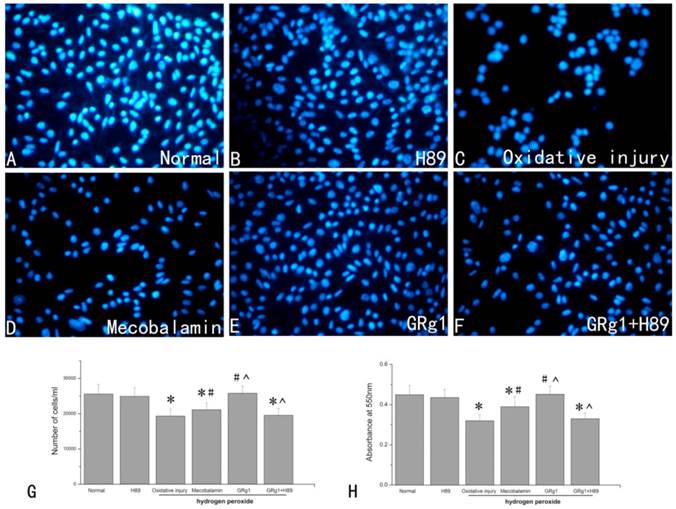 Int J Biol Sci Image