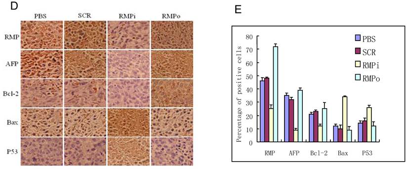 Int J Biol Sci Image