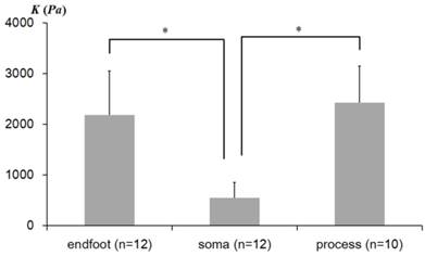 Int J Biol Sci Image