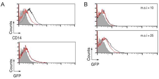 Int J Biol Sci Image