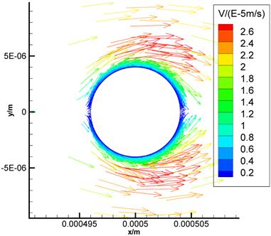 Int J Biol Sci Image