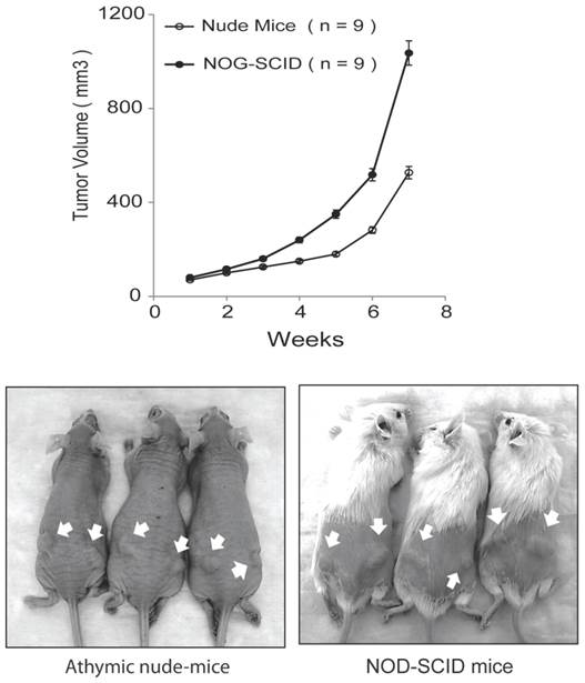 Int J Biol Sci Image