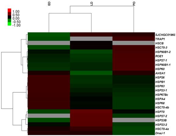 Int J Biol Sci Image