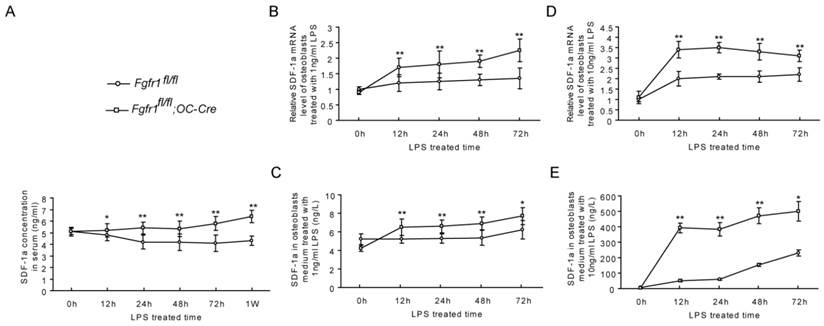 Int J Biol Sci Image