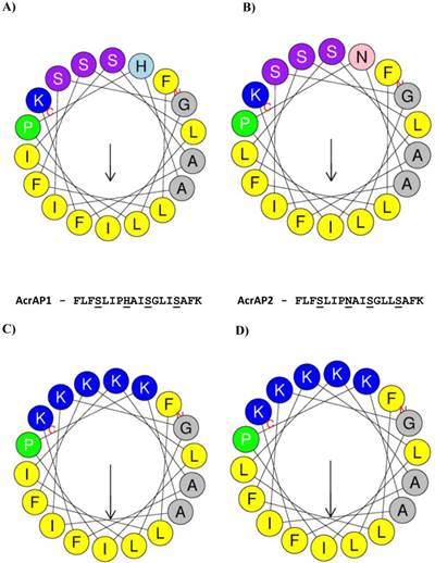 Int J Biol Sci Image