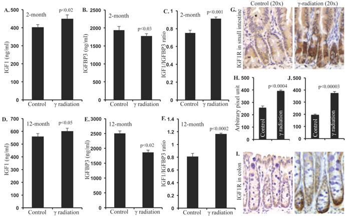 Int J Biol Sci Image