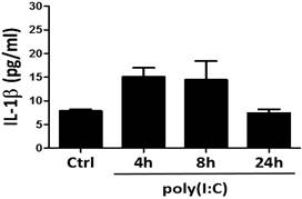 Int J Biol Sci Image