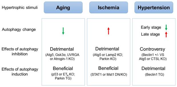 Int J Biol Sci Image