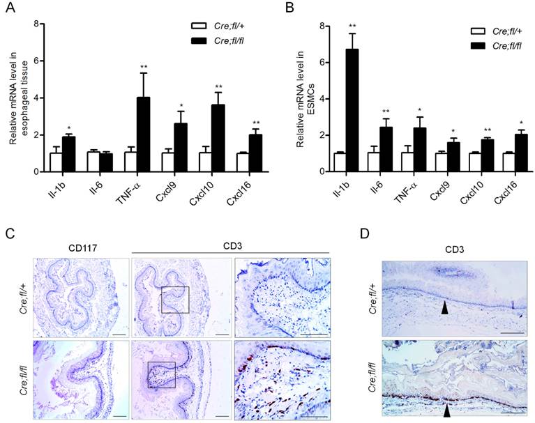 Int J Biol Sci Image