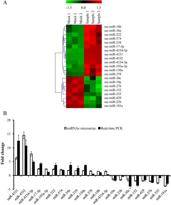 Int J Biol Sci Image