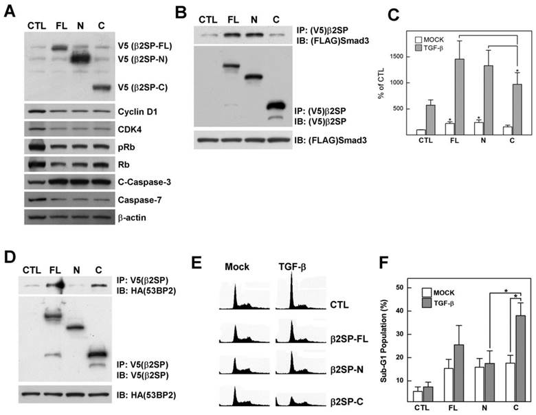 Int J Biol Sci Image