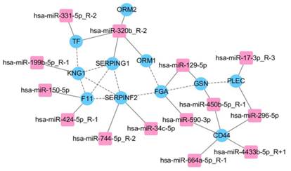 Int J Biol Sci Image