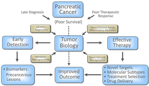 Int J Biol Sci Image