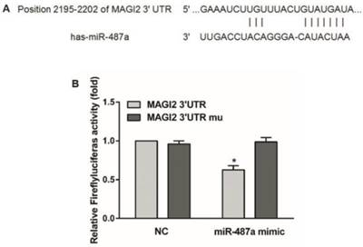 Int J Biol Sci Image