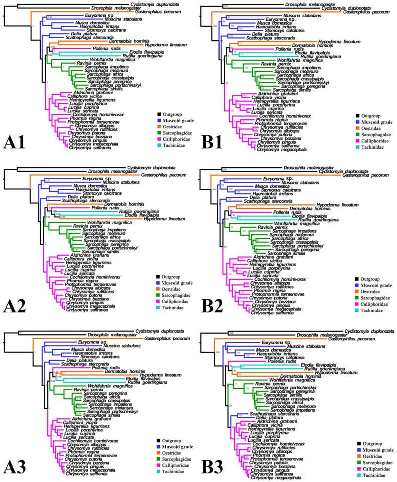 Int J Biol Sci Image