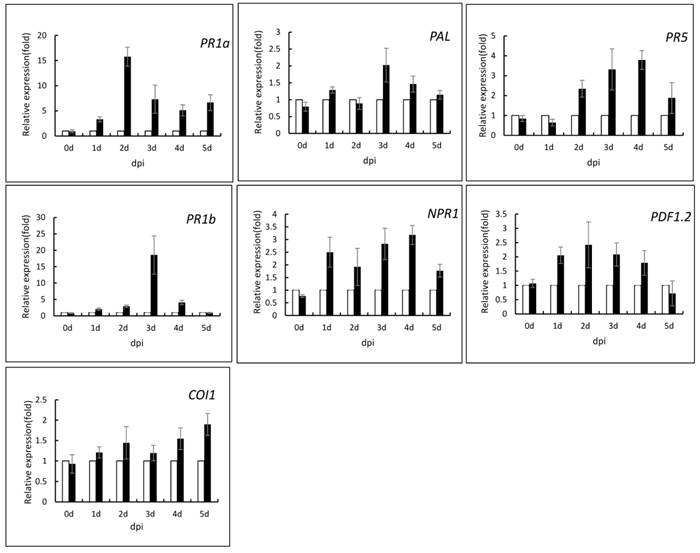 Int J Biol Sci Image