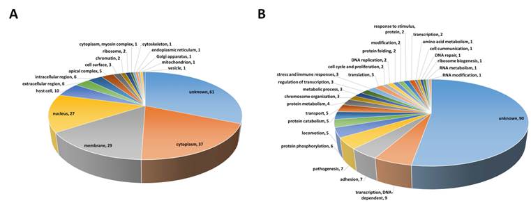 A Novel Malaria Pf/Pv Ab Rapid Diagnostic Test Using a Differential ...