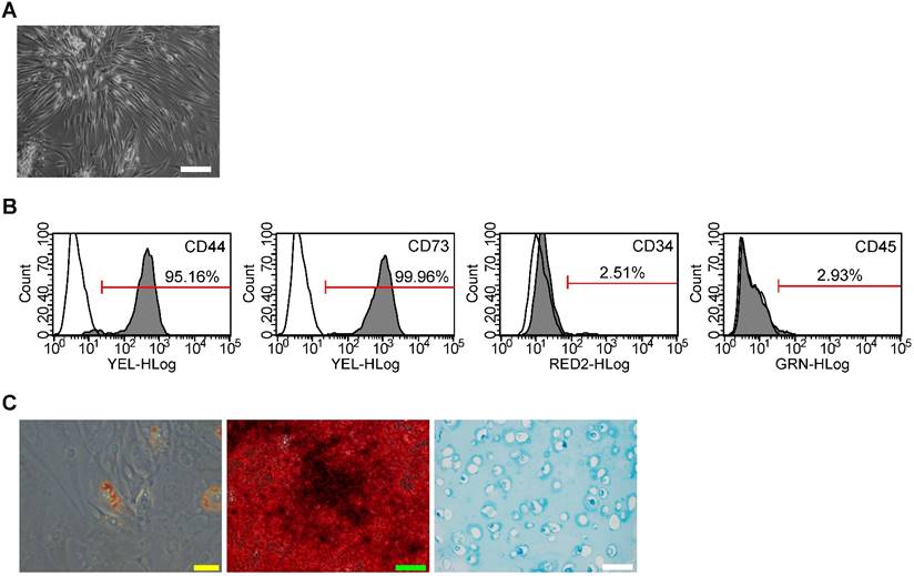 Int J Biol Sci Image