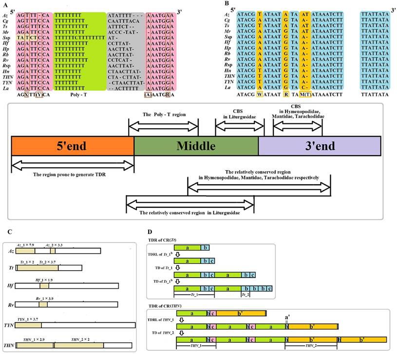 Int J Biol Sci Image