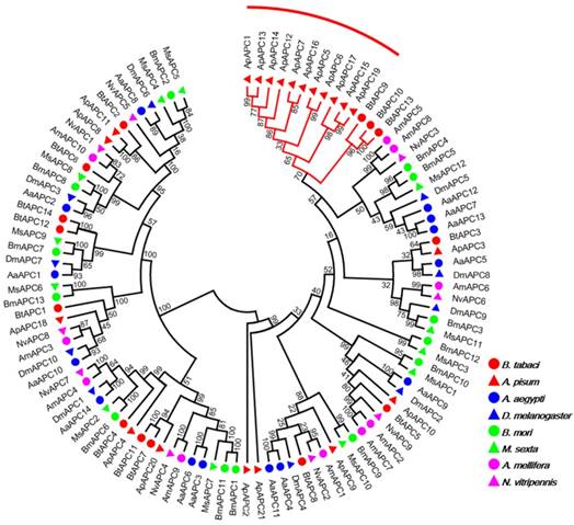 Int J Biol Sci Image