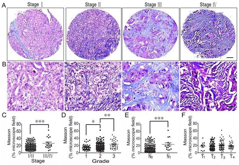 Int J Biol Sci Image