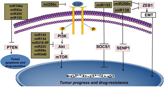Int J Biol Sci Image