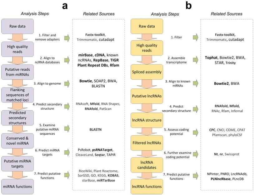 Int J Biol Sci Image