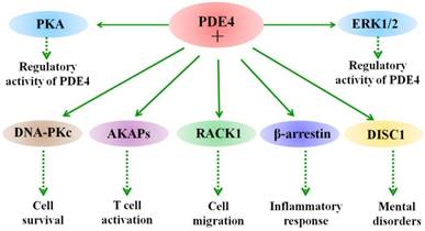 Int J Biol Sci Image